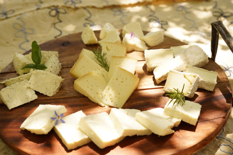 sheep milk cheese_selection_tasting_italy_tuscany