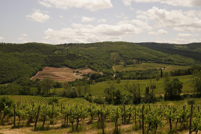 tuscan landscape in chianti region