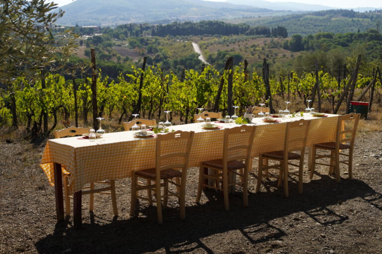 wine tasting in vineyard_chianti_tuscany